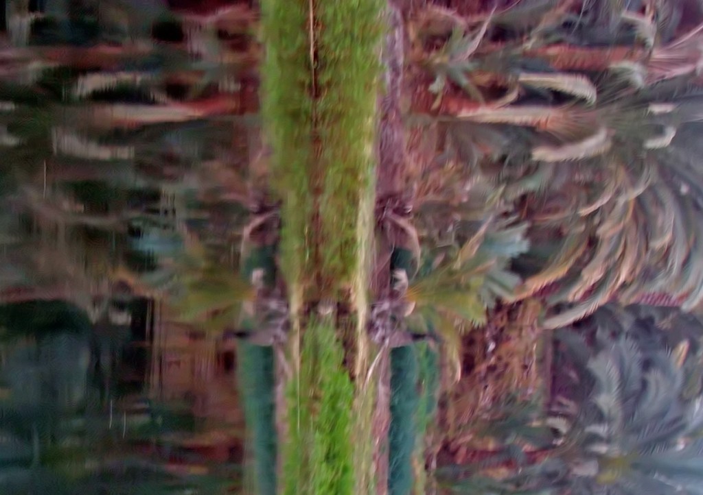 Nile Reflection